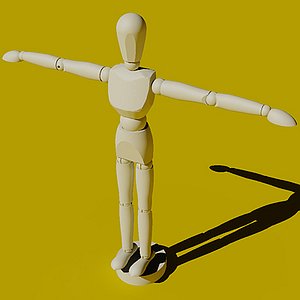 Artist Pose Figure Model