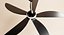 CEILING FAN