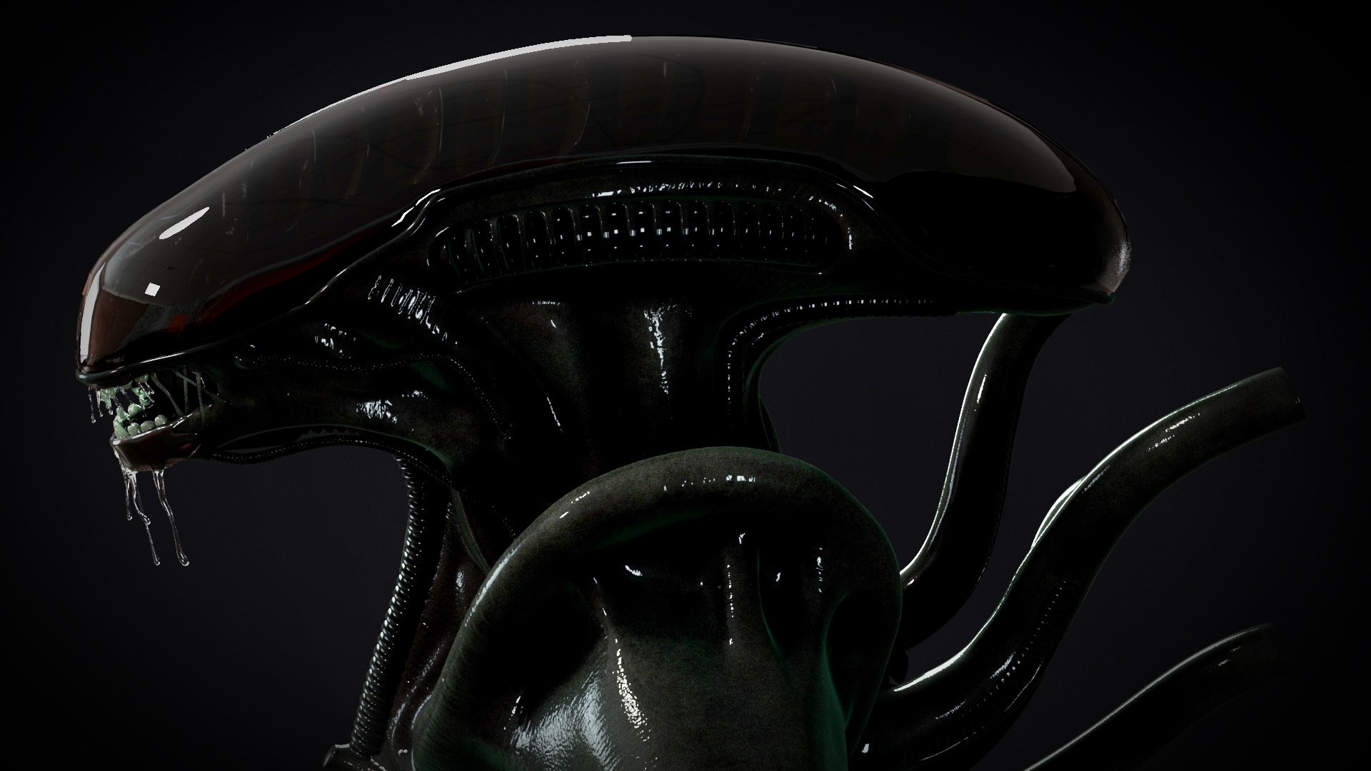 Alien Xenomorph Monster 3D Model - TurboSquid 2406936