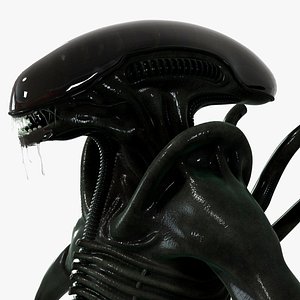Alien Xenomorph Monster