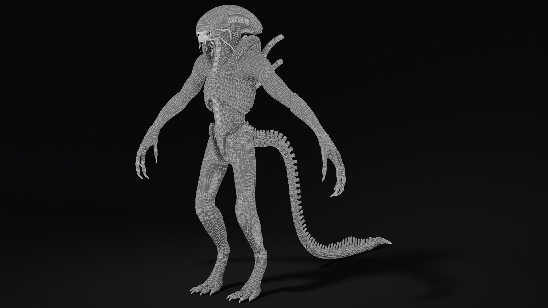 Alien Xenomorph Monster 3D Model - TurboSquid 2406936