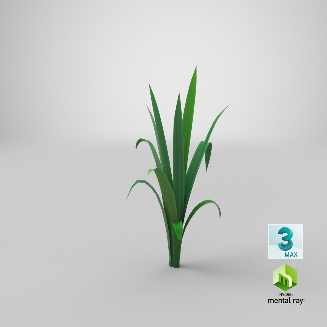 3D Cartoon Long Grass 02 model https://p.turbosquid.com/ts-thumb/WS/QI73Lw/0r/stemcell_max_mental_ray_render/png/1679652687/1920x1080/fit_q87/4d72c95385026623658c4dec0d08fde8a15ccd01/stemcell_max_mental_ray_render.jpg