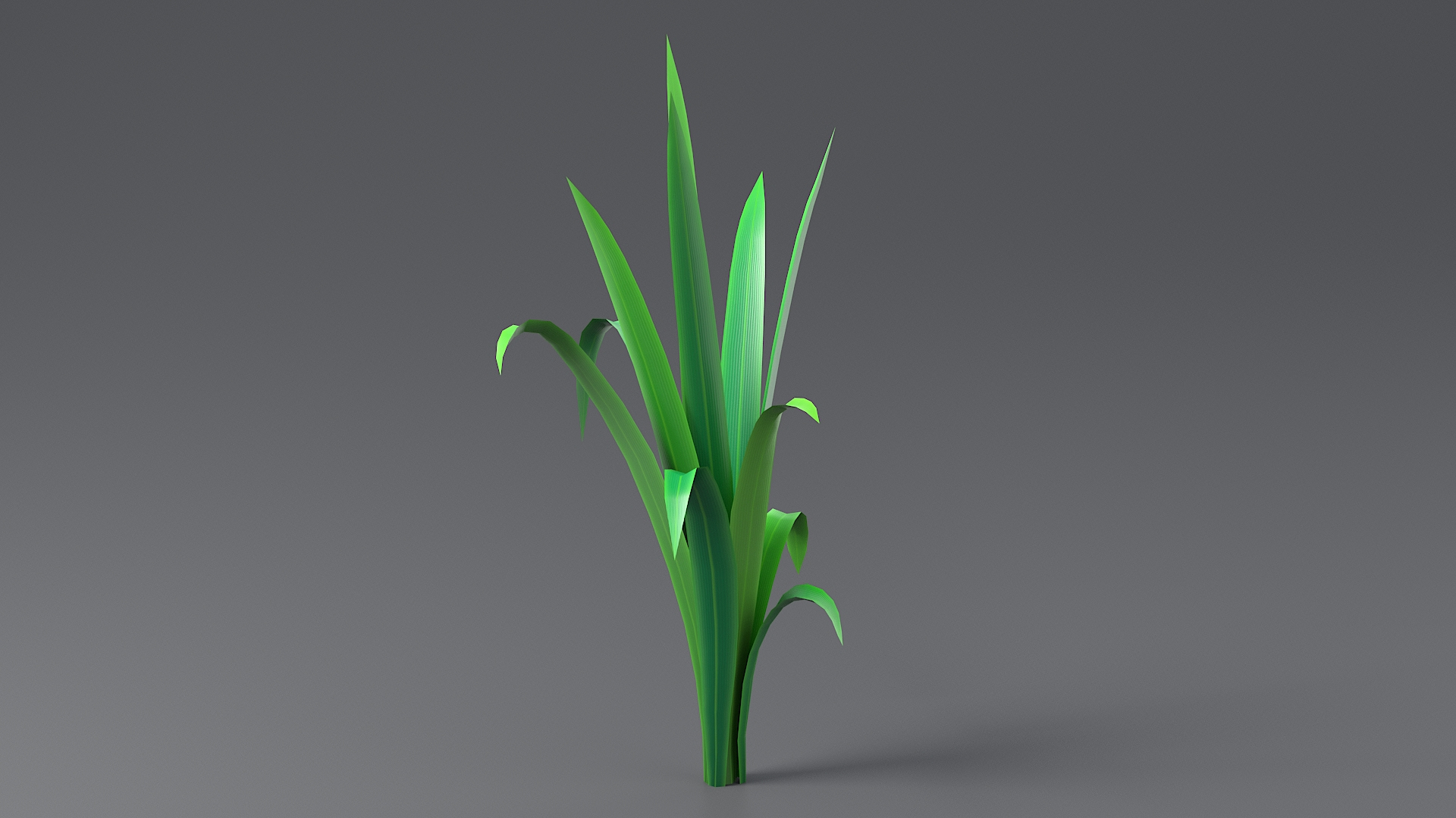 3D Cartoon Long Grass 02 model https://p.turbosquid.com/ts-thumb/WS/QI73Lw/Hj/grasslongtbatwo/jpg/1679645603/1920x1080/turn_fit_q99/42aa96d78512dd7bdb7bfb5ea1e0828a84fc47e3/grasslongtbatwo-1.jpg