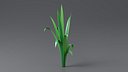 Cartoon Long Grass 02