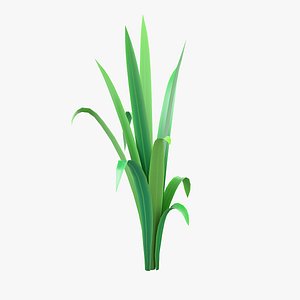 Cartoon Long Grass 02