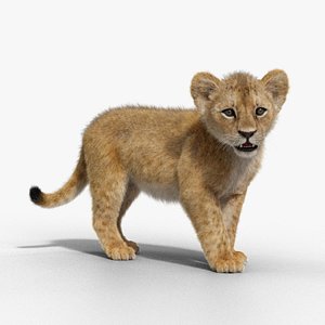 Lion Cub Animated model