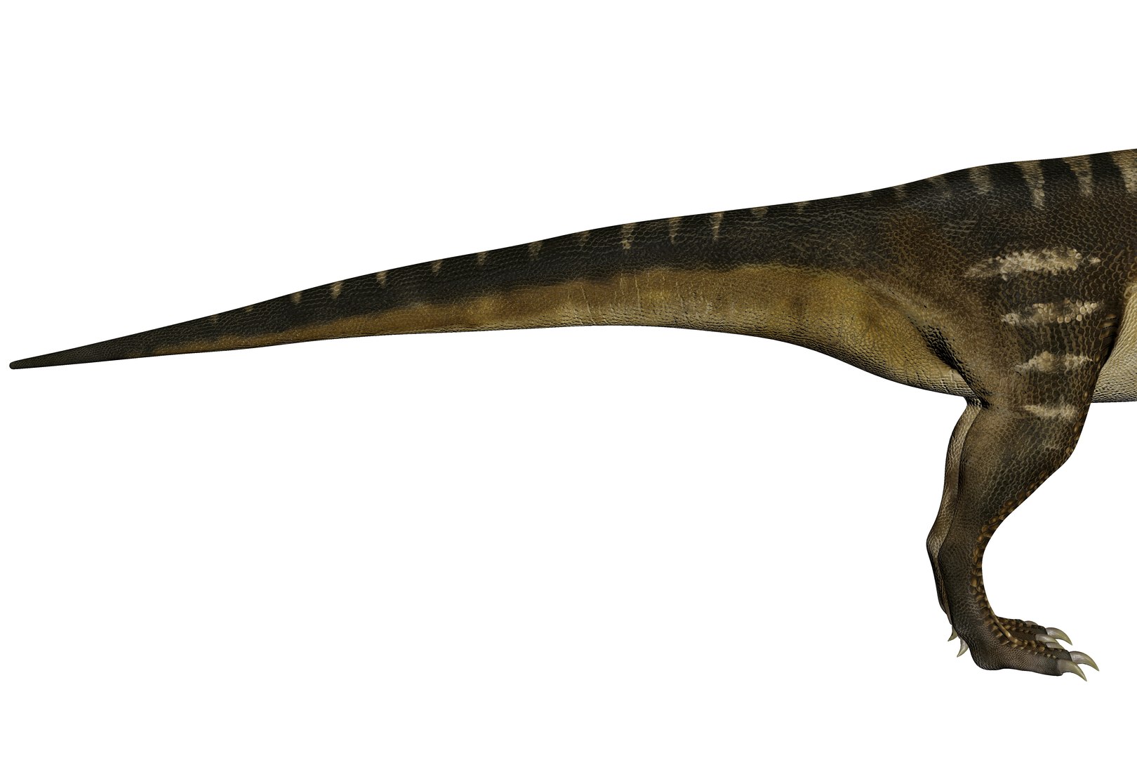 Unaysaurus Dinosaur Triassic Animal Model - TurboSquid 2332550