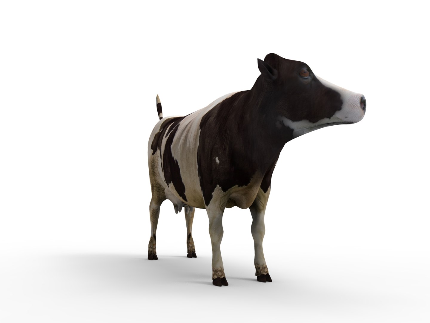 Cow Rigged 3D Model - TurboSquid 1197669