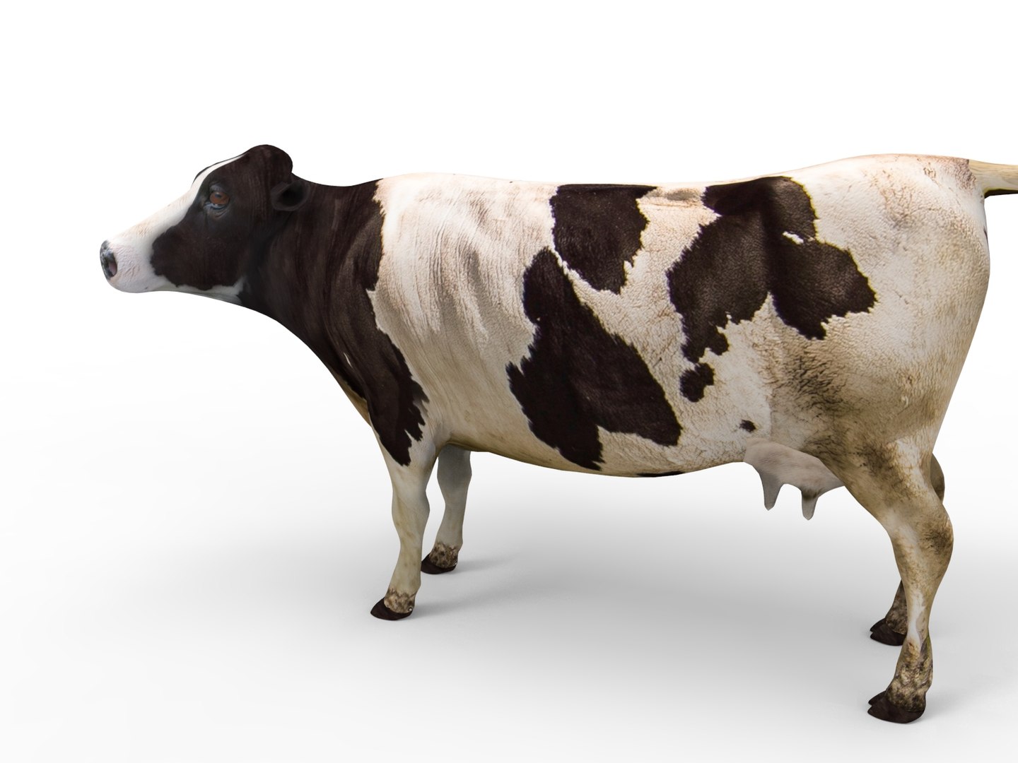 Cow Rigged 3D Model - TurboSquid 1197669