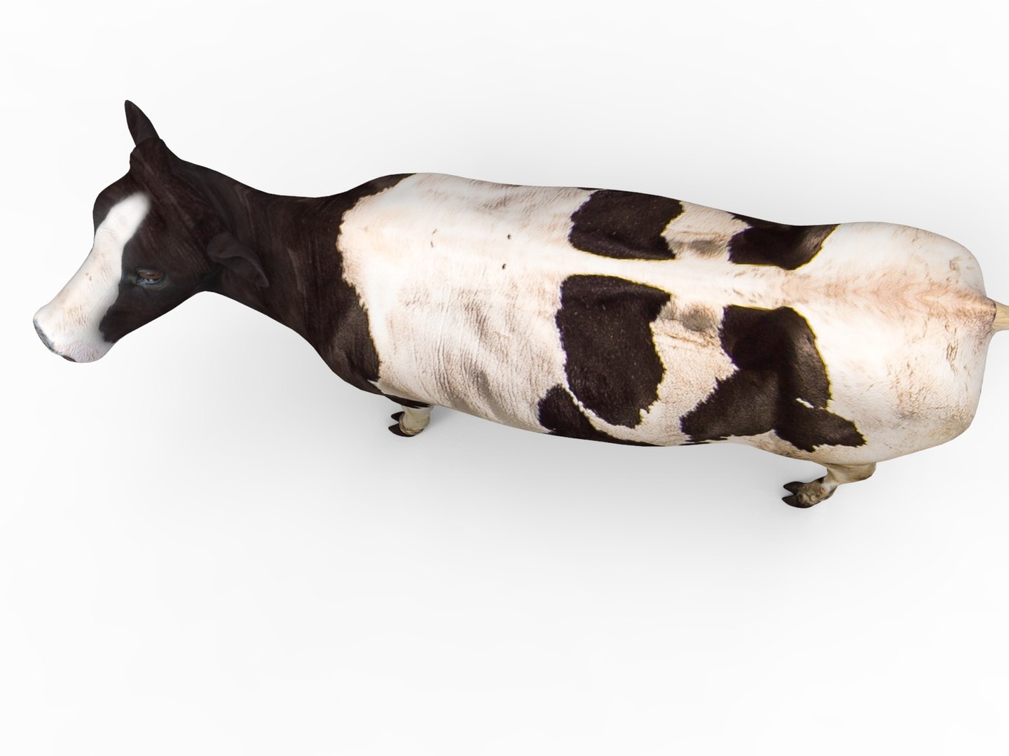Cow Rigged 3D Model - TurboSquid 1197669