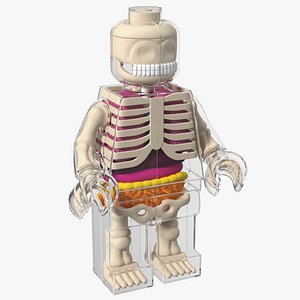 Anatomical LEGO Man Glass 3D model