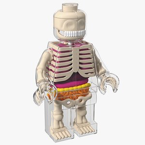 Anatomical LEGO Man Glass
