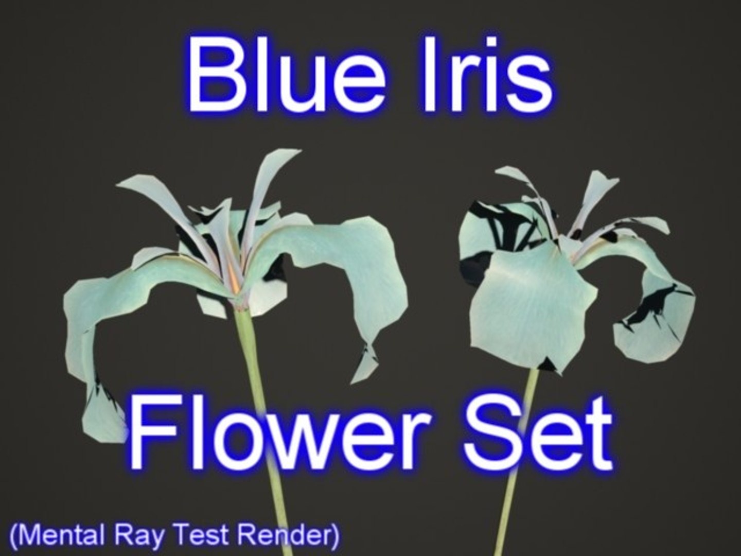 set-blue-iris-flowers-max