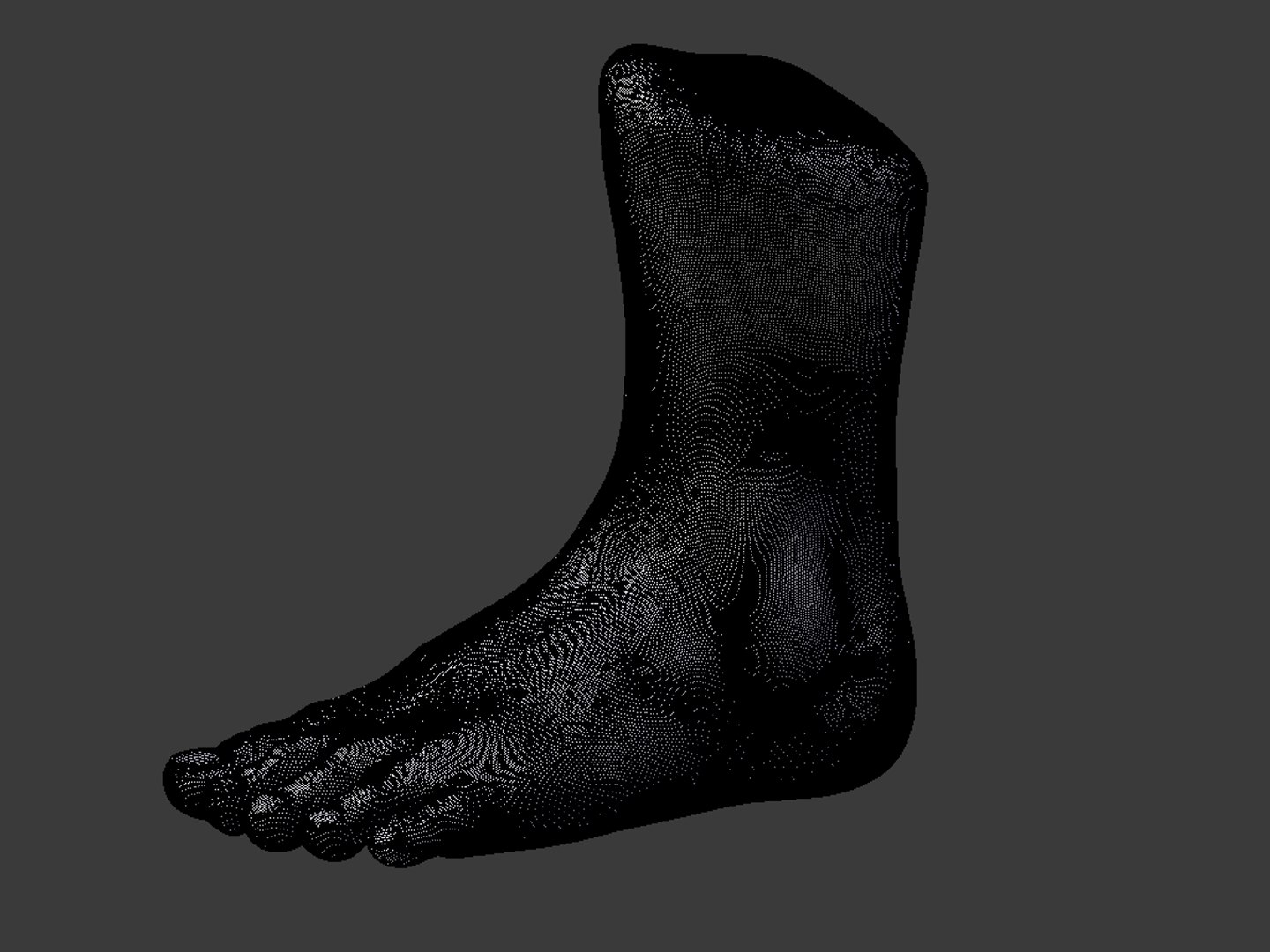 3d foot man