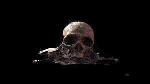 Broken Skull with Spider webs 8