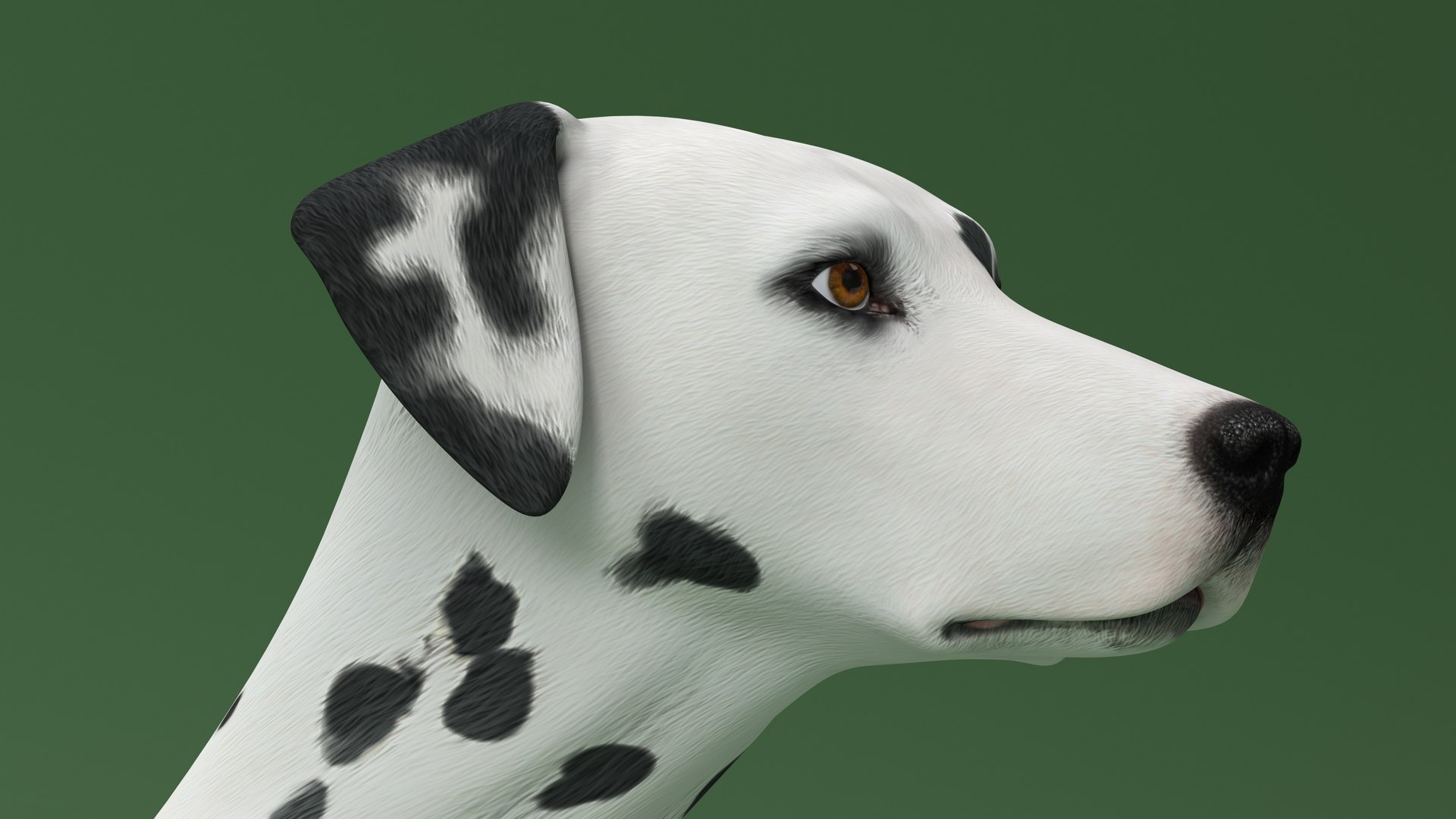Dalmatian Dog Sitting Pose 3D model https://p.turbosquid.com/ts-thumb/WT/IgP59N/1n/dalmatiandogsittingposevray3dmodel015/jpg/1716123621/1920x1080/fit_q87/f3915b859bdb96fb517b1b8487b8129b7f99d1c5/dalmatiandogsittingposevray3dmodel015.jpg