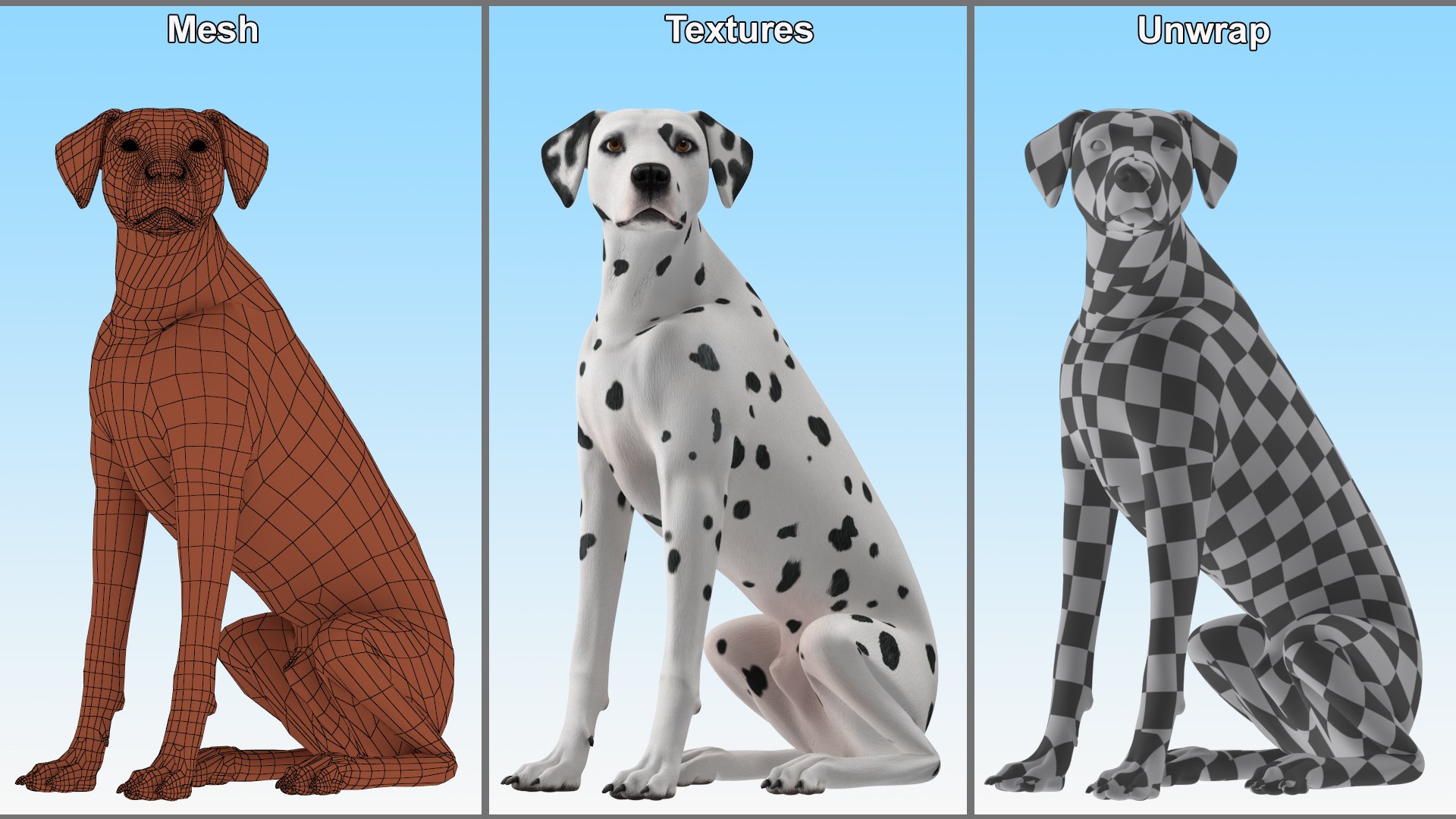 Dalmatian Dog Sitting Pose 3D model https://p.turbosquid.com/ts-thumb/WT/IgP59N/2q/dalmatiandogsittingposevray3dmodel026/jpg/1716123668/1920x1080/fit_q87/58e77eedff3e9cd6ae4dc76d2b80f1a6c209df19/dalmatiandogsittingposevray3dmodel026.jpg