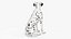 Dalmatian Dog Sitting Pose