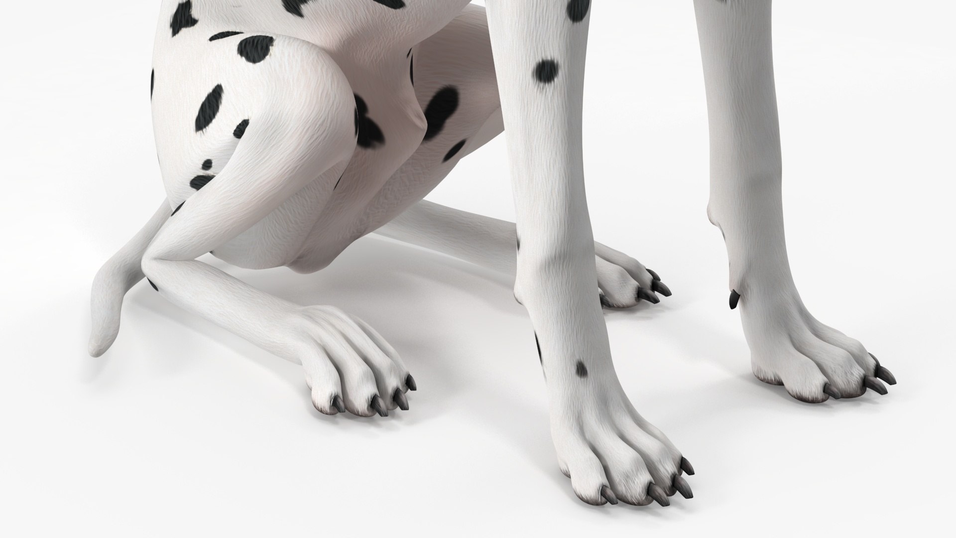 Dalmatian Dog Sitting Pose 3D model https://p.turbosquid.com/ts-thumb/WT/IgP59N/8Z/dalmatiandogsittingposevray3dmodel024/jpg/1716123658/1920x1080/fit_q87/50b690e83ca7b5aaa9c48c4bff9fc995f44aed3b/dalmatiandogsittingposevray3dmodel024.jpg