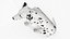 Dalmatian Dog Sitting Pose