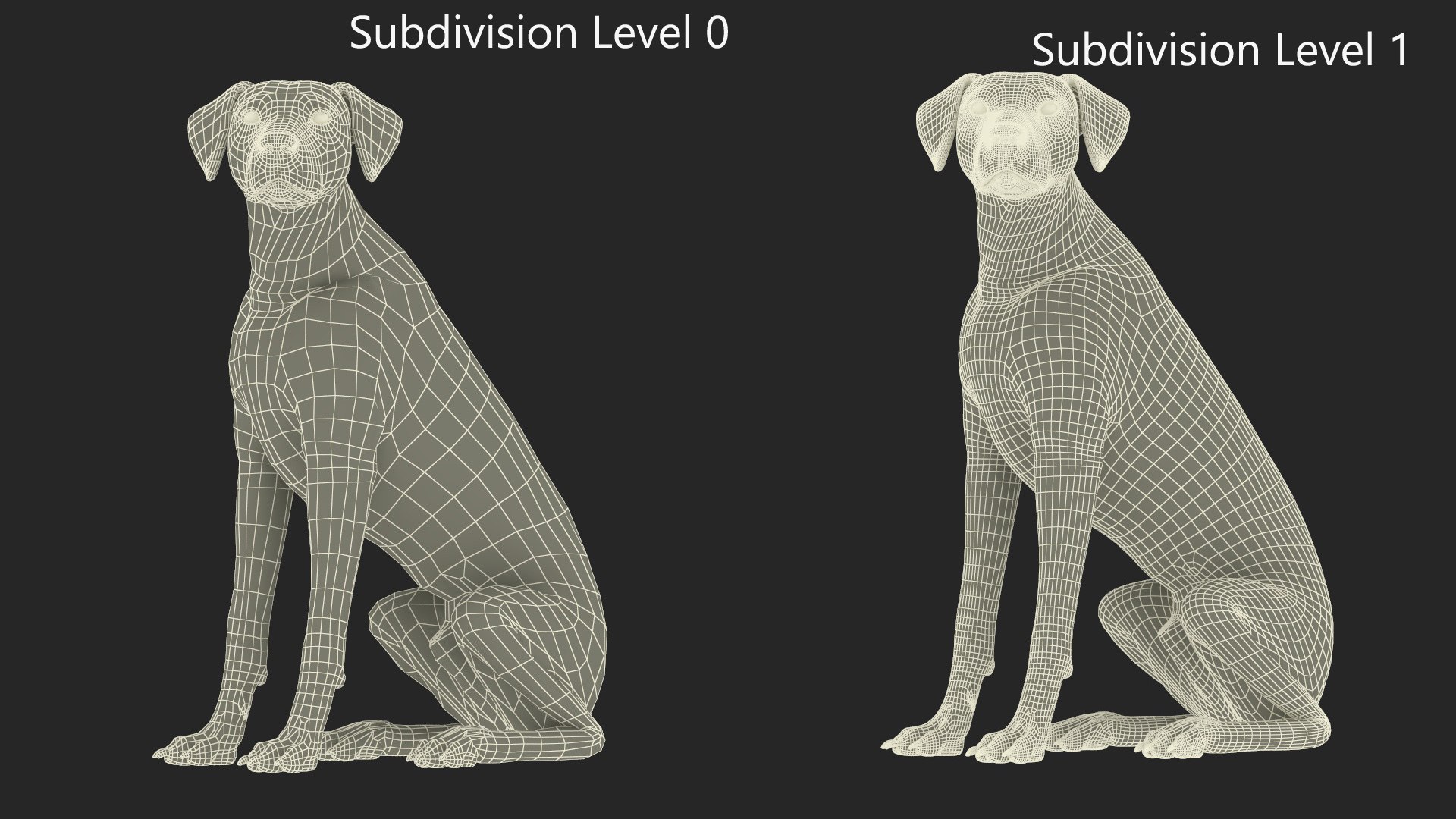 Dalmatian Dog Sitting Pose 3D model https://p.turbosquid.com/ts-thumb/WT/IgP59N/DV/dalmatiandogsittingposevray3dmodel027/jpg/1716123673/1920x1080/fit_q87/46a935ceaf3de101dc32fe5730e628dcefec77dc/dalmatiandogsittingposevray3dmodel027.jpg