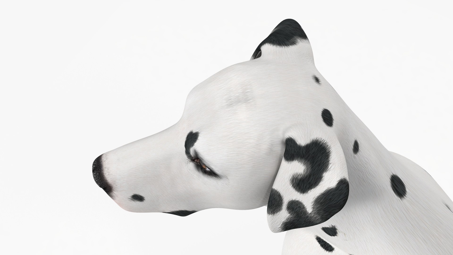 Dalmatian Dog Sitting Pose 3D model https://p.turbosquid.com/ts-thumb/WT/IgP59N/Do/dalmatiandogsittingposevray3dmodel025/jpg/1716123663/1920x1080/fit_q87/d0fafb884f064fdeafe109a3b48e5d918c6c0edd/dalmatiandogsittingposevray3dmodel025.jpg