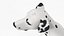 Dalmatian Dog Sitting Pose