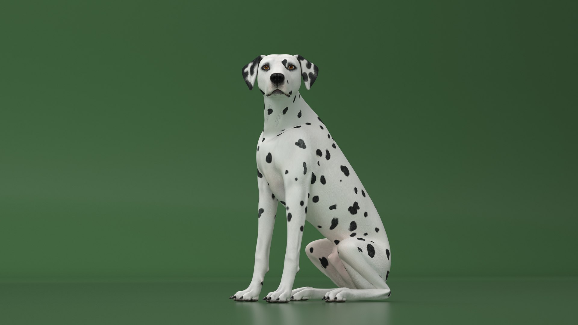 Dalmatian Dog Sitting Pose 3D model https://p.turbosquid.com/ts-thumb/WT/IgP59N/NO/dalmatiandogsittingposevray3dmodel014/jpg/1716123614/1920x1080/fit_q87/543b0f9516a0f1406d449a3493f8e1e489992ac2/dalmatiandogsittingposevray3dmodel014.jpg
