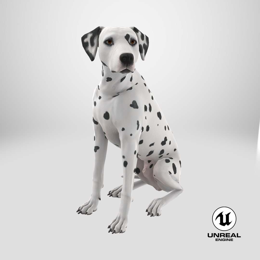 Dalmatian Dog Sitting Pose 3D model https://p.turbosquid.com/ts-thumb/WT/IgP59N/Tv/stemcell_unreal_render/png/1717646454/1920x1080/fit_q87/7e0fbe17129ac4460241dc8b5e9d171d1688a2da/stemcell_unreal_render.jpg