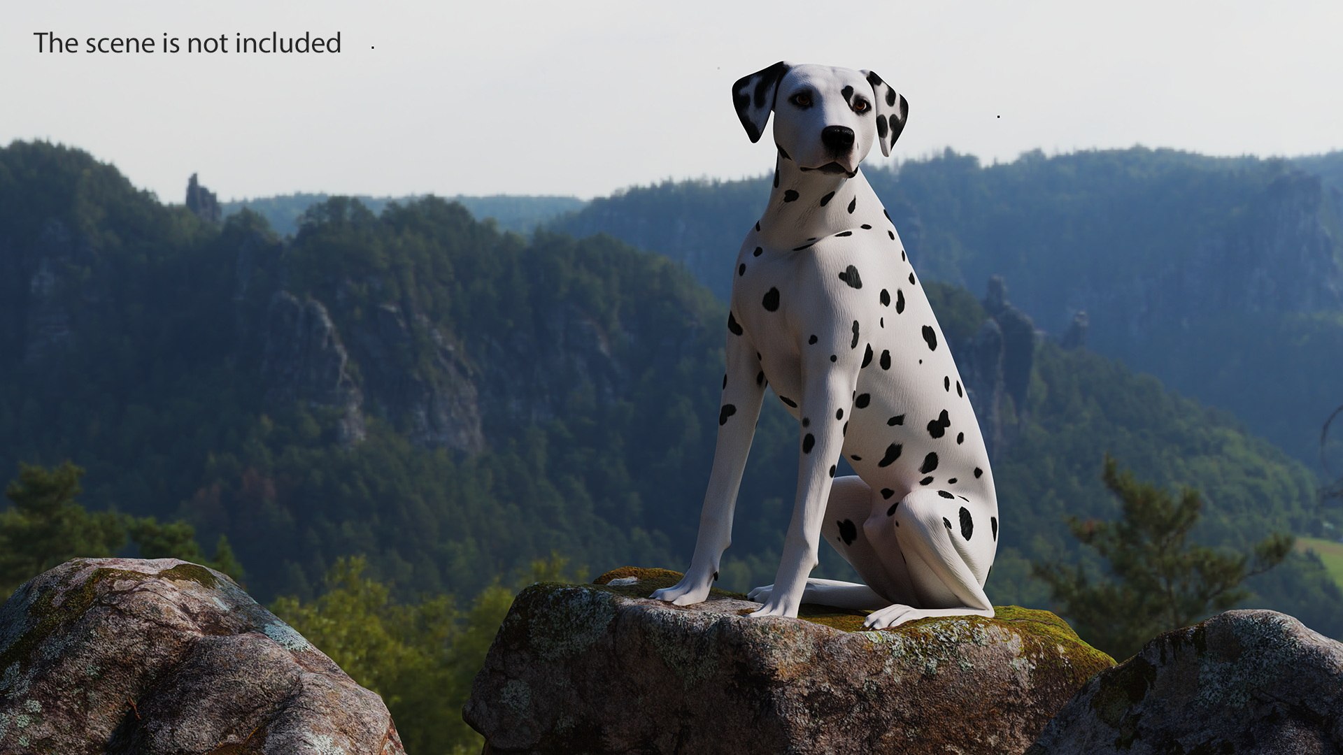Dalmatian Dog Sitting Pose 3D model https://p.turbosquid.com/ts-thumb/WT/IgP59N/WC/dalmatiandogsittingposevray3dmodel006/jpg/1716123594/1920x1080/fit_q87/601d9553b4a77e71b46b0216a39e834ff24c9085/dalmatiandogsittingposevray3dmodel006.jpg