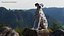 Dalmatian Dog Sitting Pose