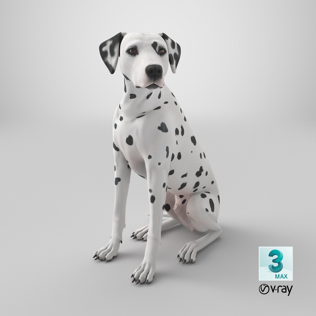 Dalmatian Dog Sitting Pose 3D model https://p.turbosquid.com/ts-thumb/WT/IgP59N/bD/stemcell_max_vray_render/png/1717646451/1920x1080/fit_q87/5b664d4a596cf061101ae26c69f82507a9c9db55/stemcell_max_vray_render.jpg