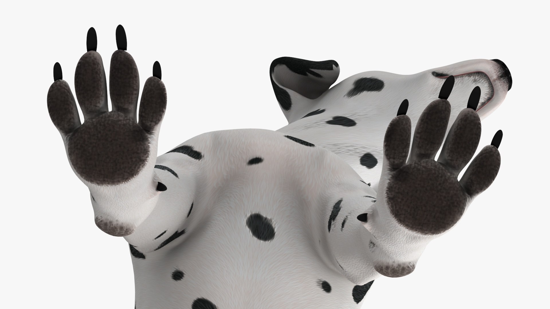 Dalmatian Dog Sitting Pose 3D model https://p.turbosquid.com/ts-thumb/WT/IgP59N/q5/dalmatiandogsittingposevray3dmodel023/jpg/1716123654/1920x1080/fit_q87/7b5300a2e9eaf2416d3f4c921e1b5f1139259416/dalmatiandogsittingposevray3dmodel023.jpg