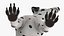 Dalmatian Dog Sitting Pose