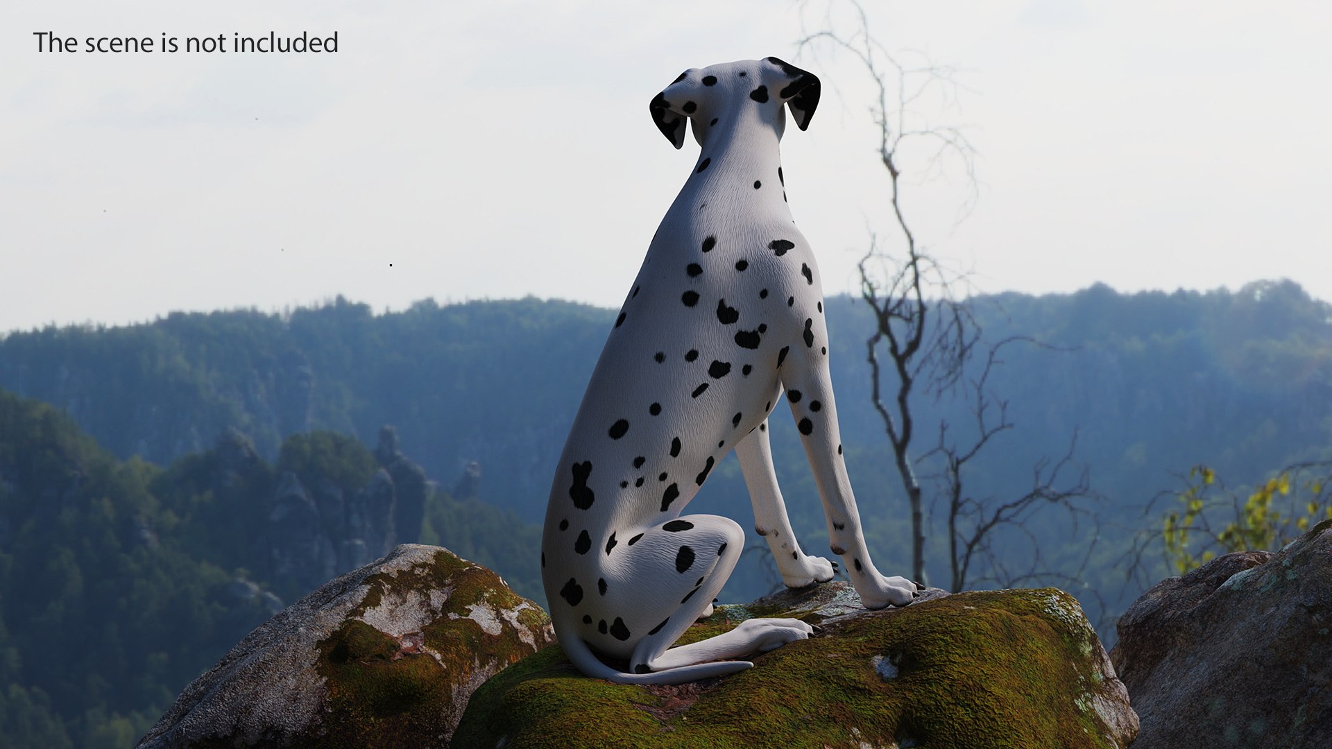 Dalmatian Dog Sitting Pose 3D model https://p.turbosquid.com/ts-thumb/WT/IgP59N/qP/dalmatiandogsittingposevray3dmodel010/jpg/1716123602/1920x1080/fit_q87/d4e22c9b87cbb1985cbc3724c50e9d6dc61d37a3/dalmatiandogsittingposevray3dmodel010.jpg