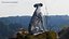 Dalmatian Dog Sitting Pose