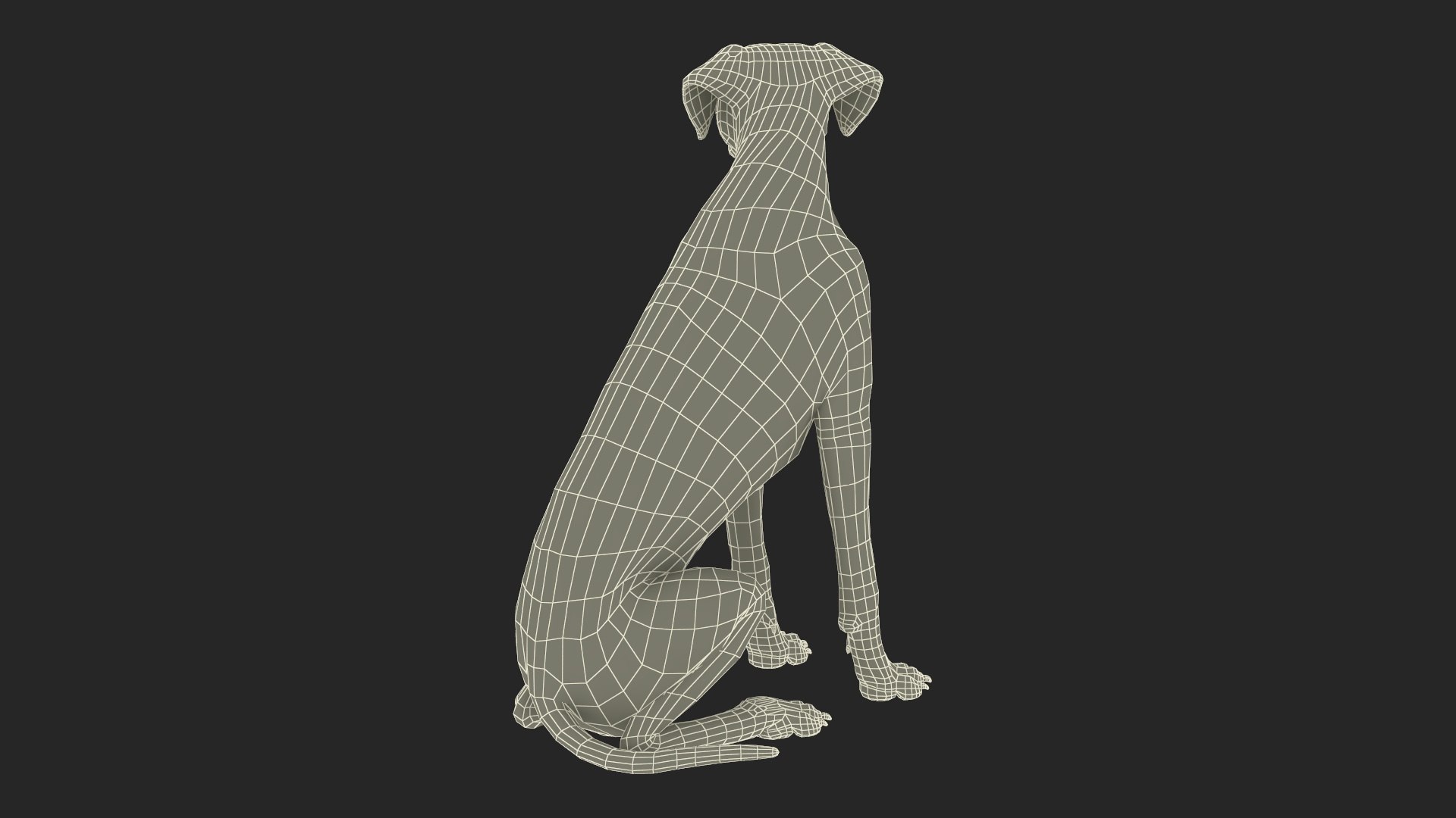 Dalmatian Dog Sitting Pose 3D model https://p.turbosquid.com/ts-thumb/WT/IgP59N/vw/dalmatiandogsittingposevray3dmodel036/jpg/1716123711/1920x1080/fit_q87/1ad8f38d78260ab300bc2b729e7e0b7de6df7a79/dalmatiandogsittingposevray3dmodel036.jpg