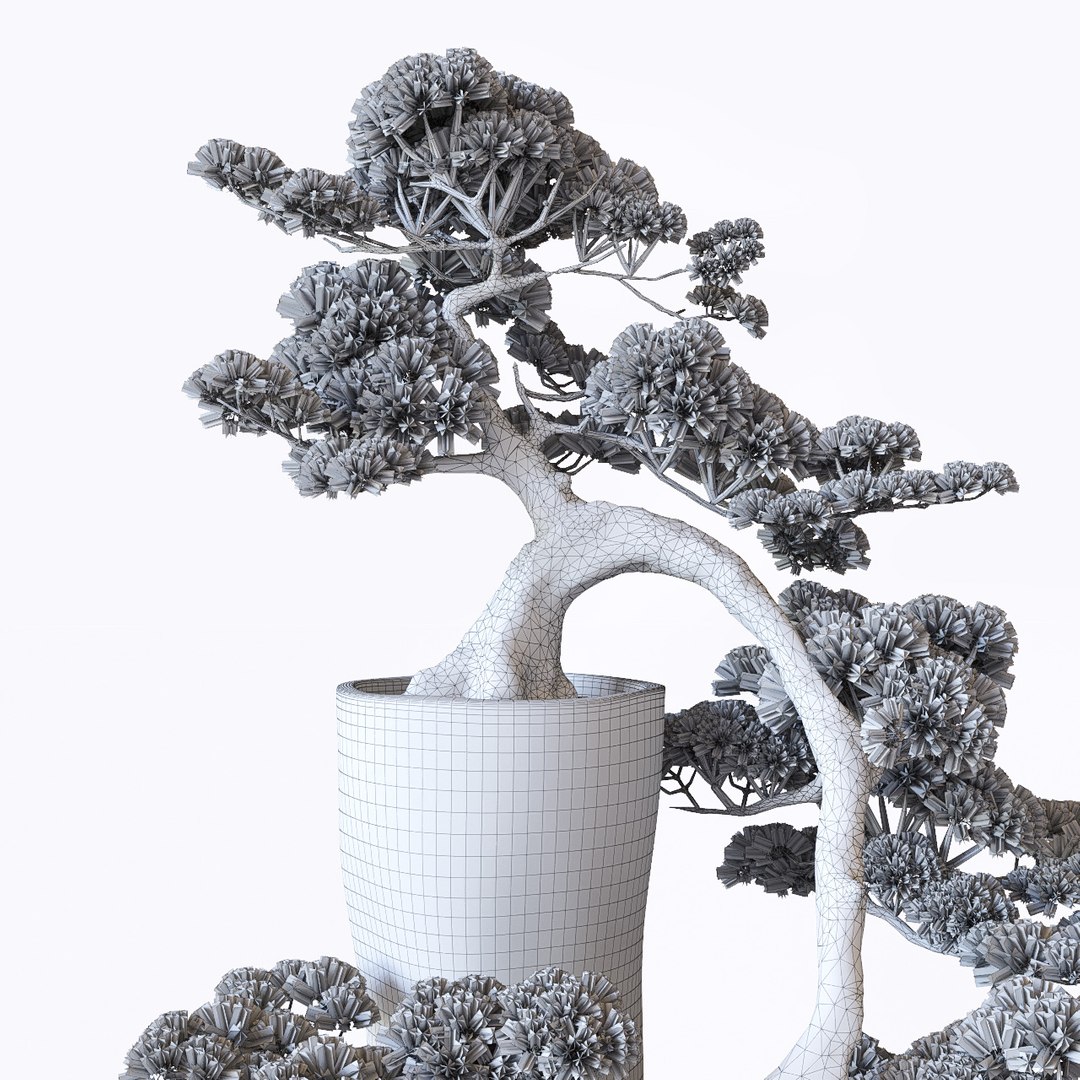 3d Model Bonsai