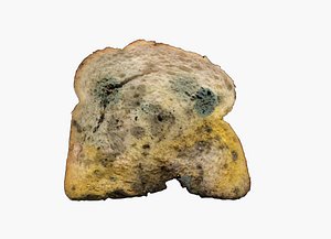 3D bread old mold
