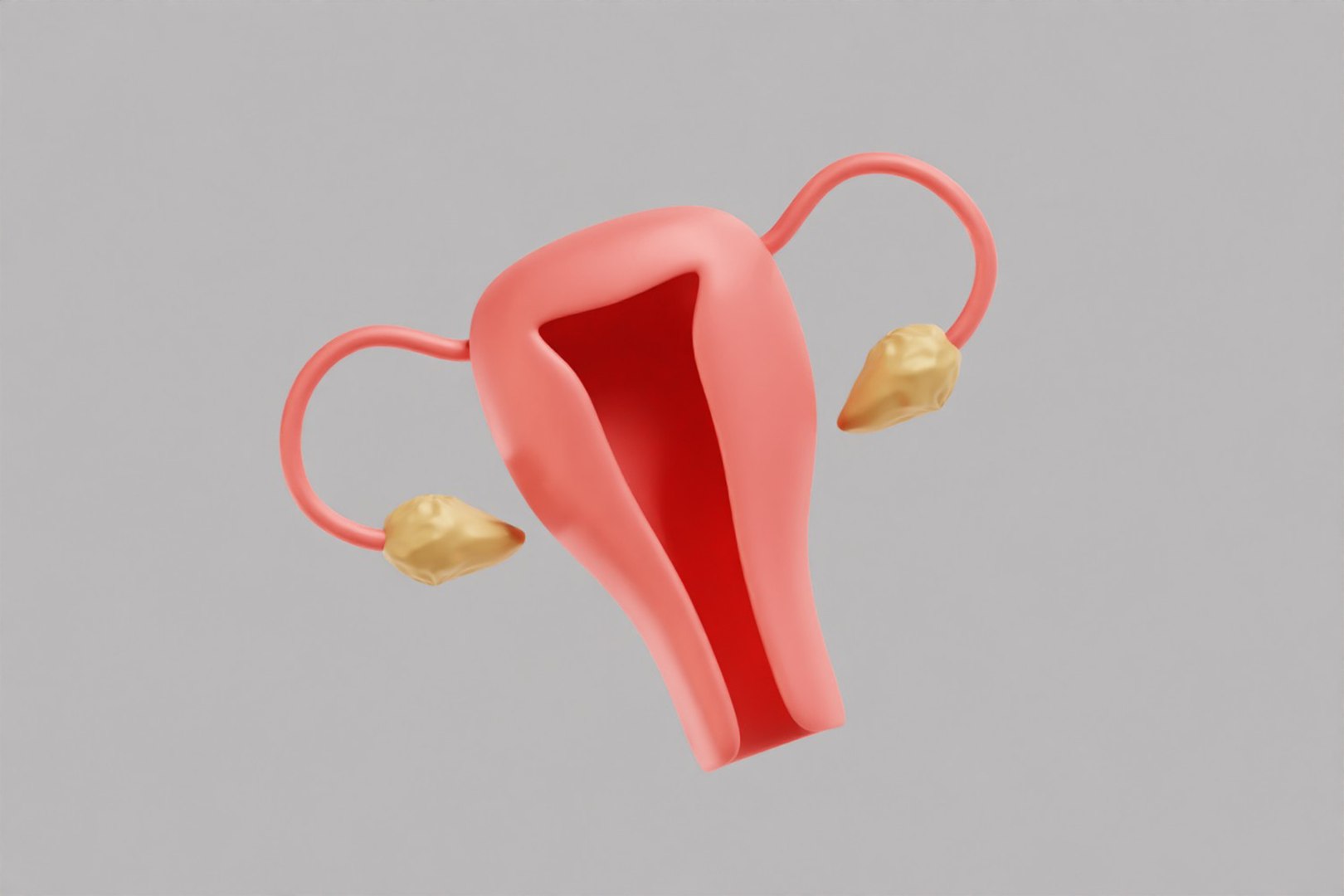 Female Reproductive System model https://p.turbosquid.com/ts-thumb/WT/UMV40a/94/z2/jpg/1780670835/1920x1080/fit_q87/10c2338c9b050334f6ec22a0b04a91f1c2f4071f/z2.jpg