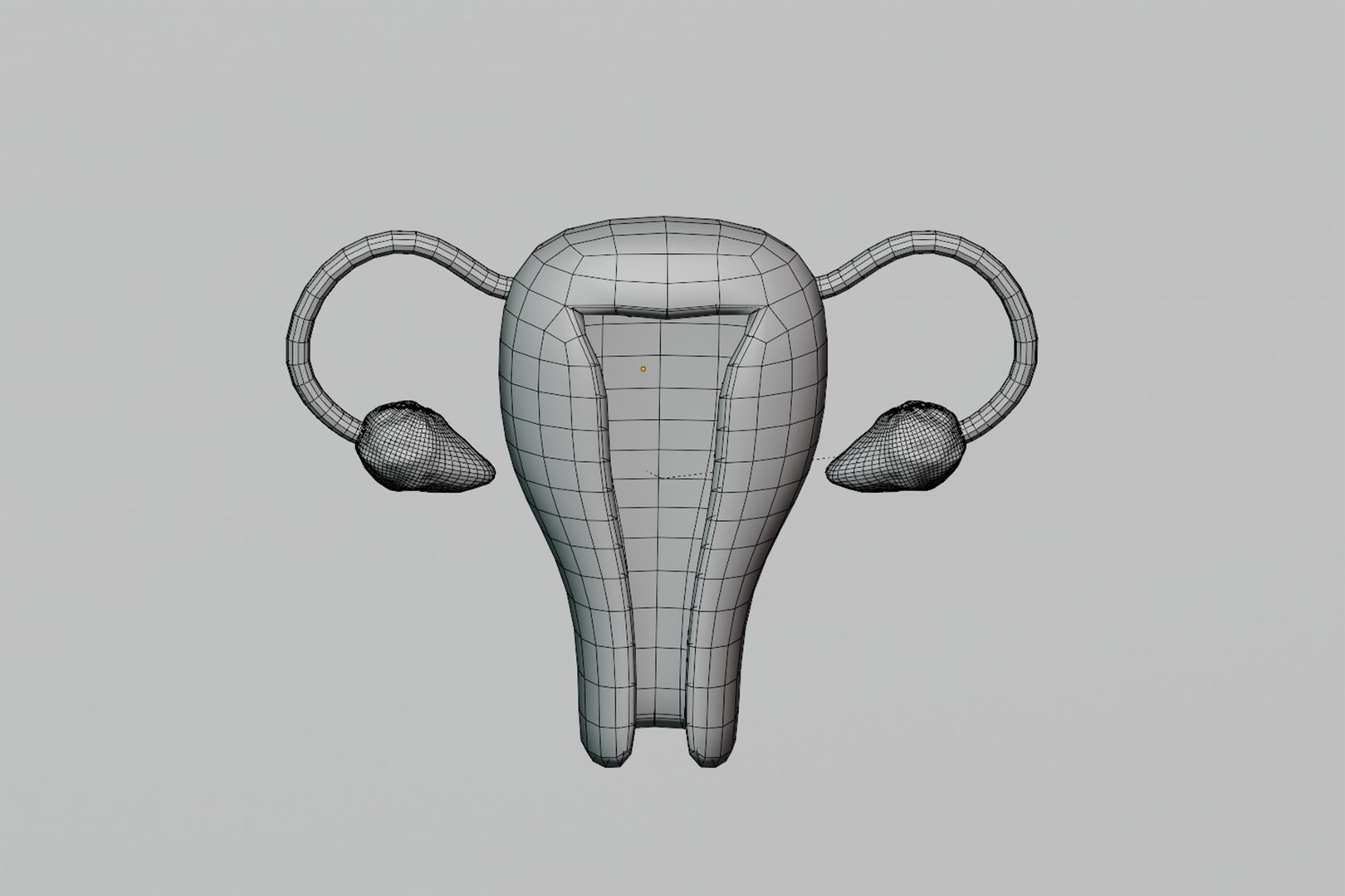 Female Reproductive System model https://p.turbosquid.com/ts-thumb/WT/UMV40a/Lt/z7/jpg/1780670838/1920x1080/fit_q87/5150b3a95c71612ab56f5de78d5352e8d85d6011/z7.jpg