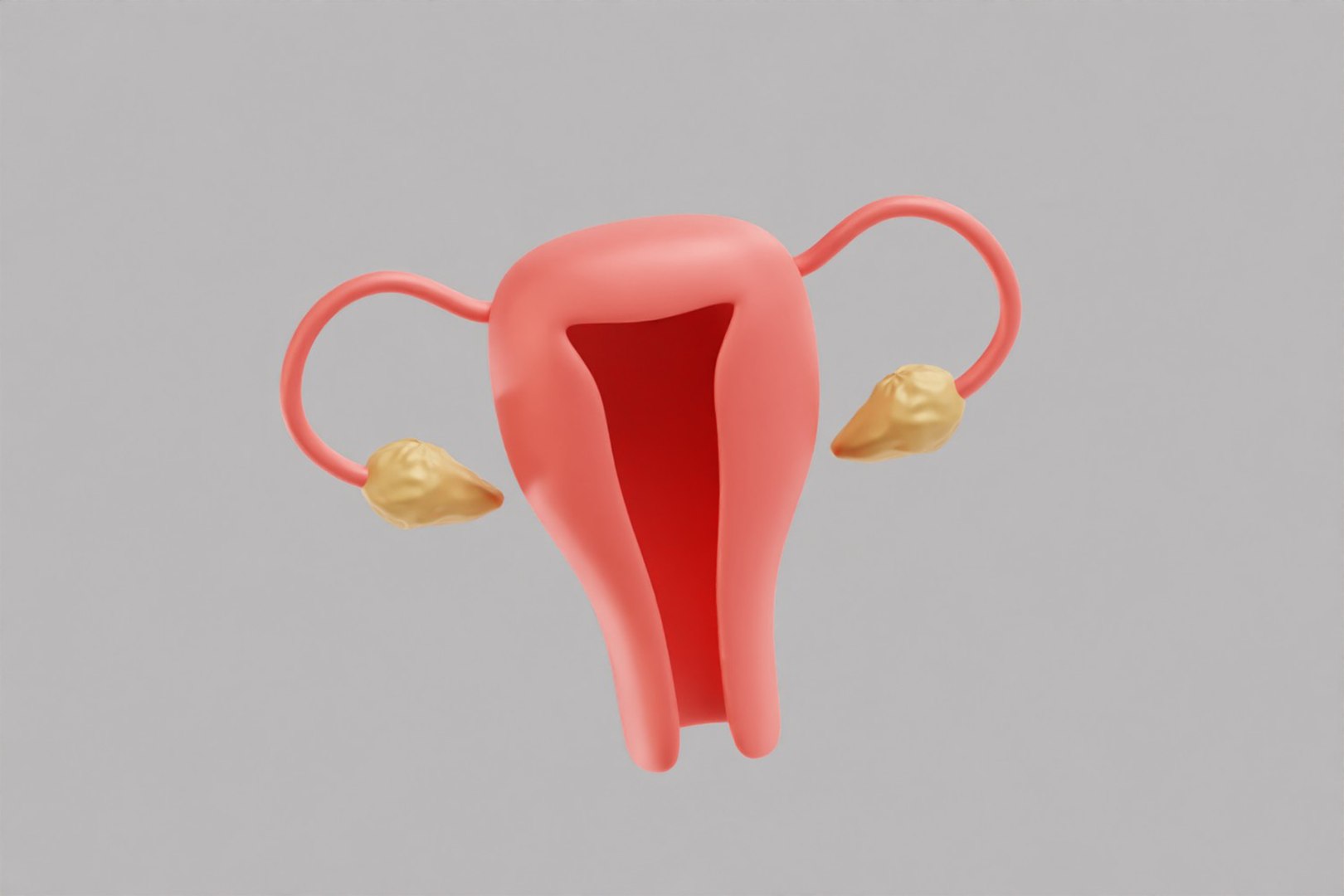 Female Reproductive System model https://p.turbosquid.com/ts-thumb/WT/UMV40a/t3/z5/jpg/1780670837/1920x1080/fit_q87/a61866d87b671e806c79149d6636b3c48fd75ac1/z5.jpg