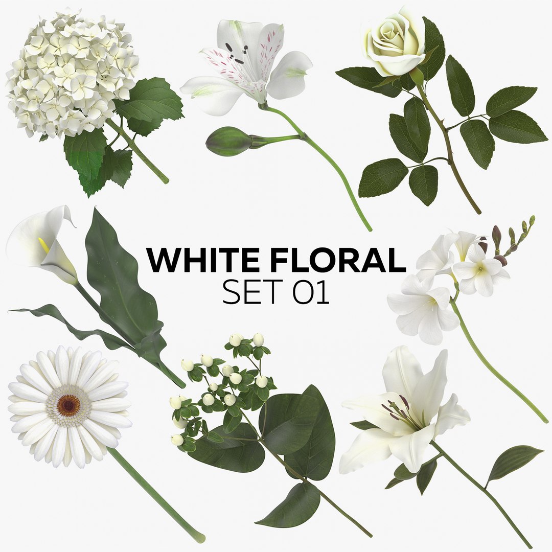 3D white floral set 01 model https://p.turbosquid.com/ts-thumb/WT/fKioqd/1zueK65x/white_floral_set_01_thumbnail_08/jpg/1569410755/1920x1080/fit_q87/f0eba765b3c353519a02abf9c5c699bd1c855a89/white_floral_set_01_thumbnail_08.jpg