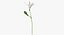 Ensemble floral blanc 01 - 27 produits