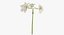 Ensemble floral blanc 01 - 27 produits