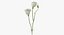 Ensemble floral blanc 01 - 27 produits