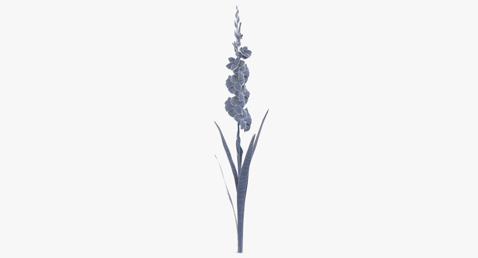 3D white floral set 01 model https://p.turbosquid.com/ts-thumb/WT/fKioqd/RZ8l6yNJ/gladious_white_wireframe_0001/jpg/1569415993/1920x1080/fit_q87/d90394dd74c09ee5dd3468be4ff136754e89e1d1/gladious_white_wireframe_0001.jpg