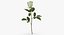 Ensemble floral blanc 01 - 27 produits