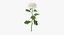 Ensemble floral blanc 01 - 27 produits