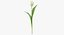 Ensemble floral blanc 01 - 27 produits